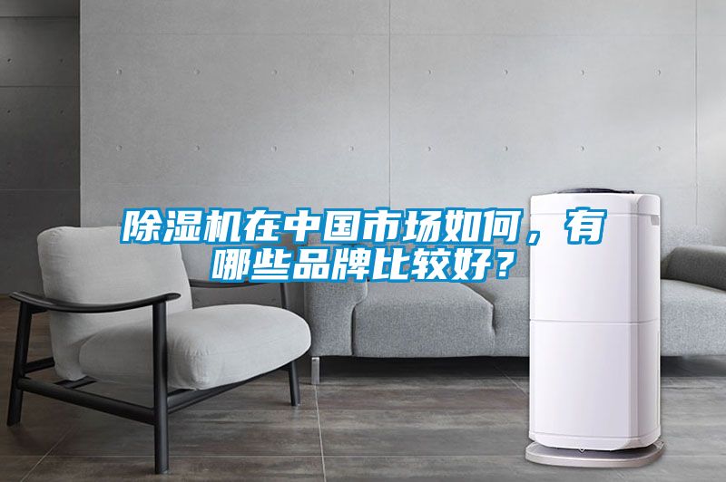 除濕機(jī)在中國市場如何，有哪些品牌比較好？
