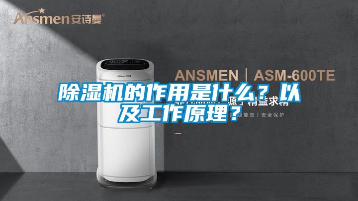 除濕機(jī)的作用是什么？以及工作原理？
