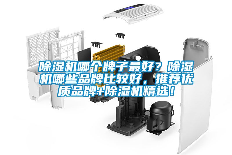 除濕機(jī)哪個(gè)牌子最好？除濕機(jī)哪些品牌比較好，推薦優(yōu)質(zhì)品牌+除濕機(jī)精選！