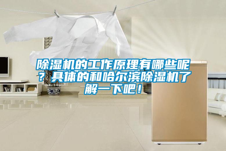 除濕機(jī)的工作原理有哪些呢？具體的和哈爾濱除濕機(jī)了解一下吧！