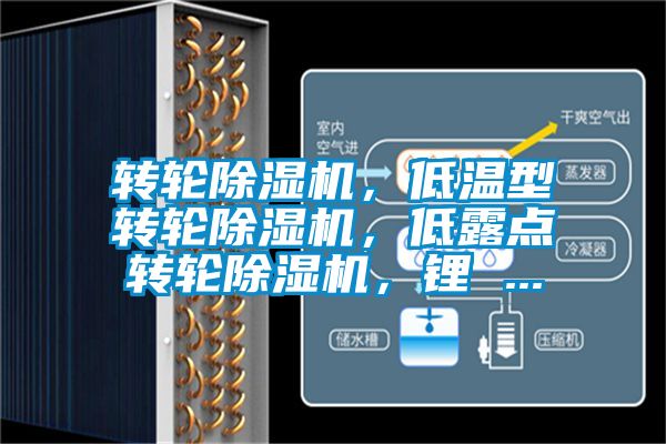 轉(zhuǎn)輪除濕機(jī)，低溫型轉(zhuǎn)輪除濕機(jī)，低露點(diǎn)轉(zhuǎn)輪除濕機(jī)，鋰 ...