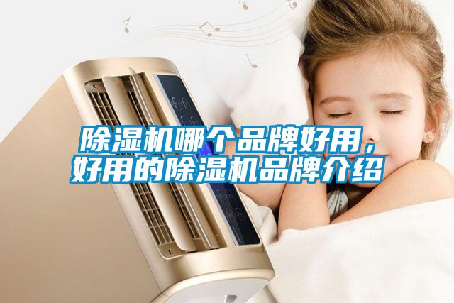 除濕機(jī)哪個(gè)品牌好用，好用的除濕機(jī)品牌介紹