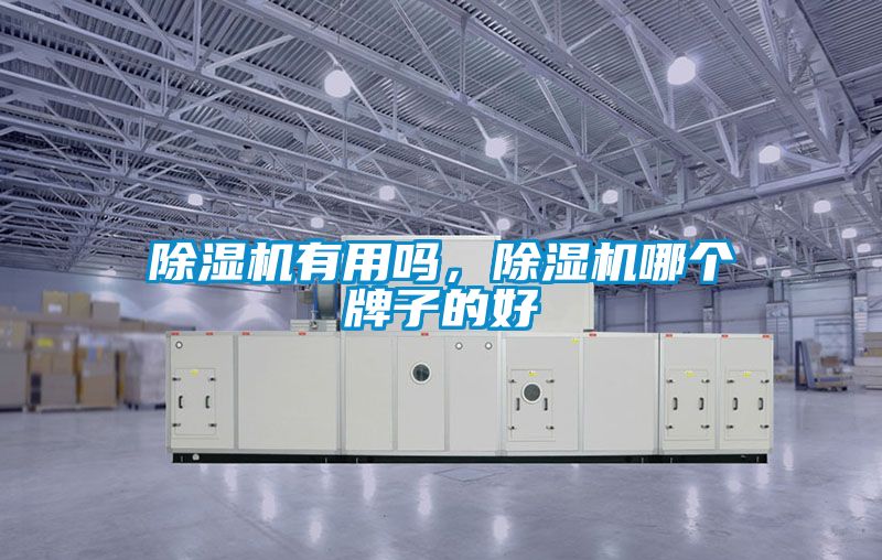 除濕機(jī)有用嗎，除濕機(jī)哪個(gè)牌子的好