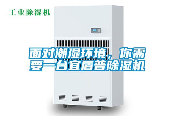 面對潮濕環(huán)境，你需要一臺宜盾普除濕機(jī)