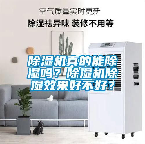 除濕機(jī)真的能除濕嗎？除濕機(jī)除濕效果好不好？