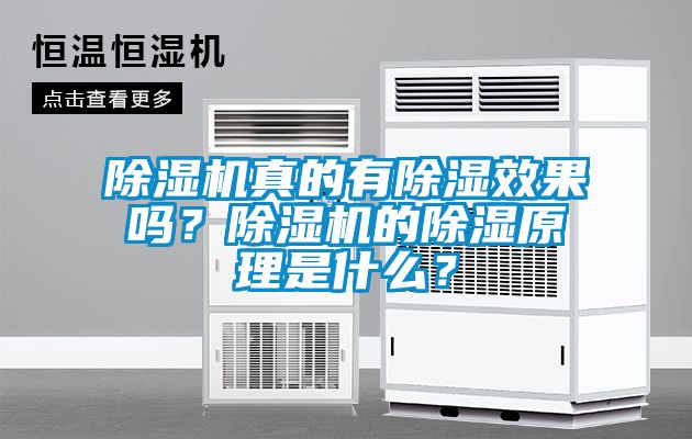 除濕機真的有除濕效果嗎？除濕機的除濕原理是什么？