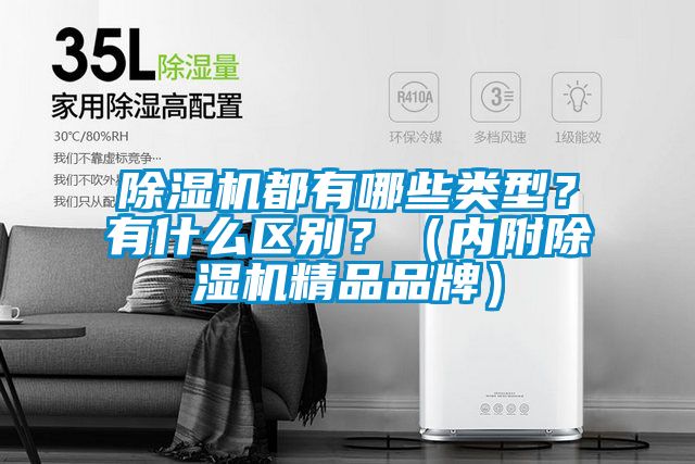 除濕機(jī)都有哪些類型？有什么區(qū)別？（內(nèi)附除濕機(jī)精品品牌）