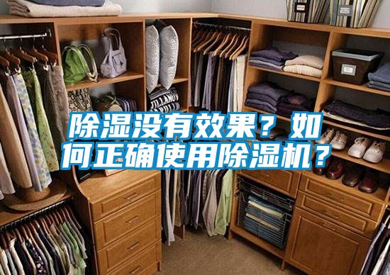 除濕沒有效果？如何正確使用除濕機？