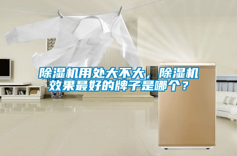 除濕機用處大不大，除濕機效果最好的牌子是哪個？