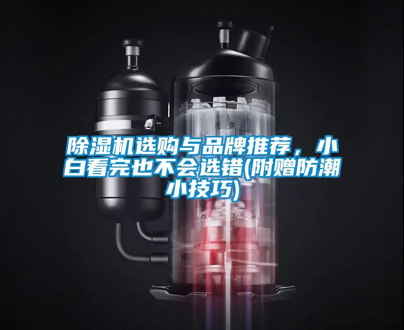 除濕機選購與品牌推薦，小白看完也不會選錯(附贈防潮小技巧)