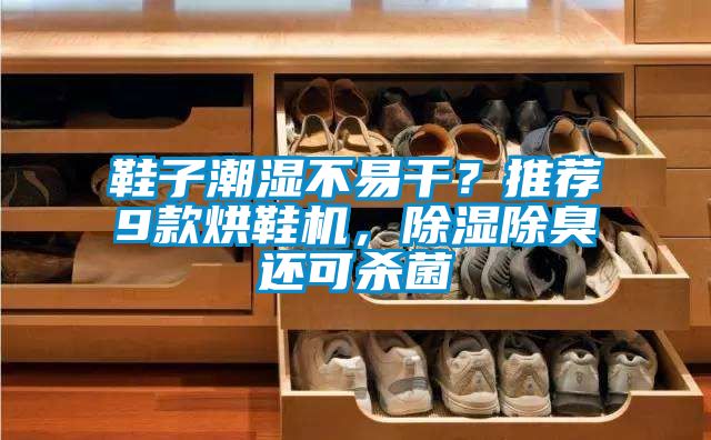 鞋子潮濕不易干？推薦9款烘鞋機，除濕除臭還可殺菌