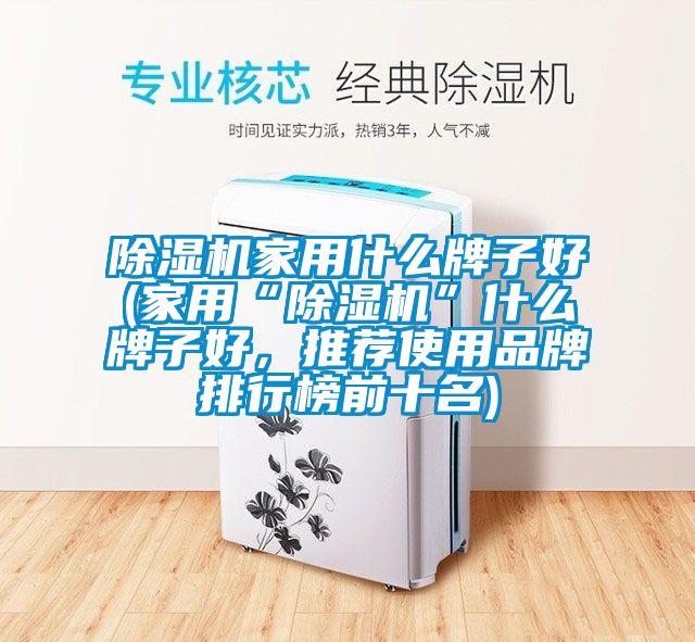 除濕機(jī)家用什么牌子好(家用“除濕機(jī)”什么牌子好，推薦使用品牌排行榜前十名)