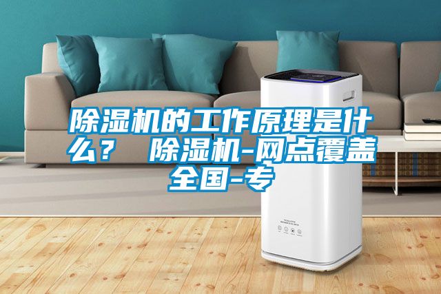 除濕機(jī)的工作原理是什么？ 除濕機(jī)-網(wǎng)點覆蓋全國-專