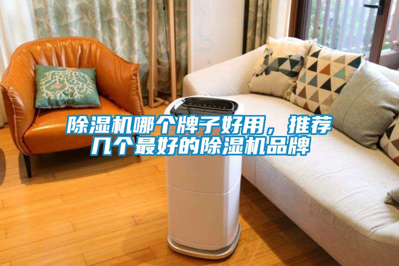 除濕機(jī)哪個(gè)牌子好用，推薦幾個(gè)最好的除濕機(jī)品牌