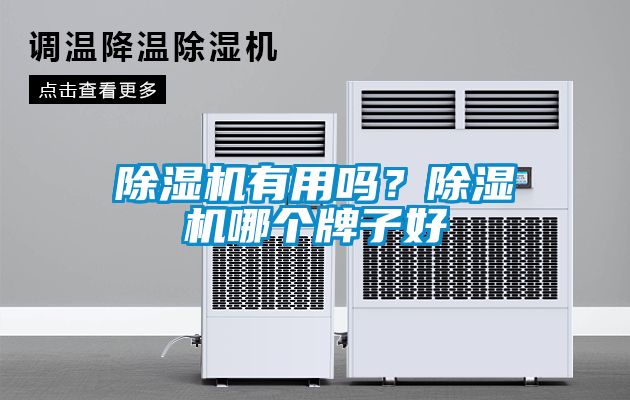 除濕機(jī)有用嗎？除濕機(jī)哪個(gè)牌子好