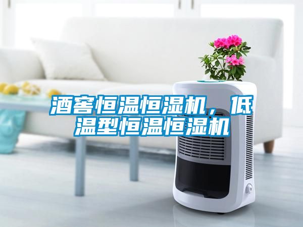 酒窖恒溫恒濕機，低溫型恒溫恒濕機