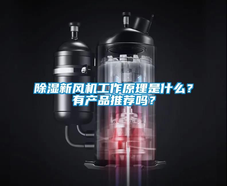 除濕新風(fēng)機(jī)工作原理是什么？有產(chǎn)品推薦嗎？