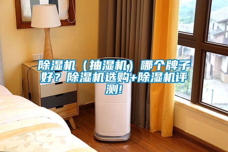 除濕機（抽濕機）哪個牌子好？除濕機選購+除濕機評測!