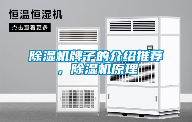 除濕機牌子的介紹推薦，除濕機原理