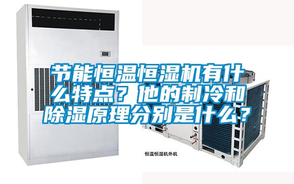 節(jié)能恒溫恒濕機(jī)有什么特點(diǎn)？他的制冷和除濕原理分別是什么？
