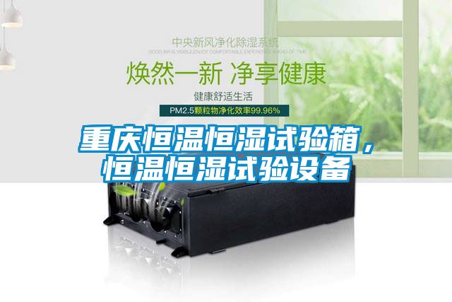 重慶恒溫恒濕試驗箱，恒溫恒濕試驗設(shè)備