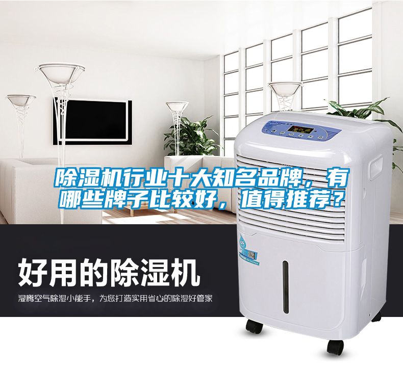 除濕機(jī)行業(yè)十大知名品牌，有哪些牌子比較好，值得推薦？