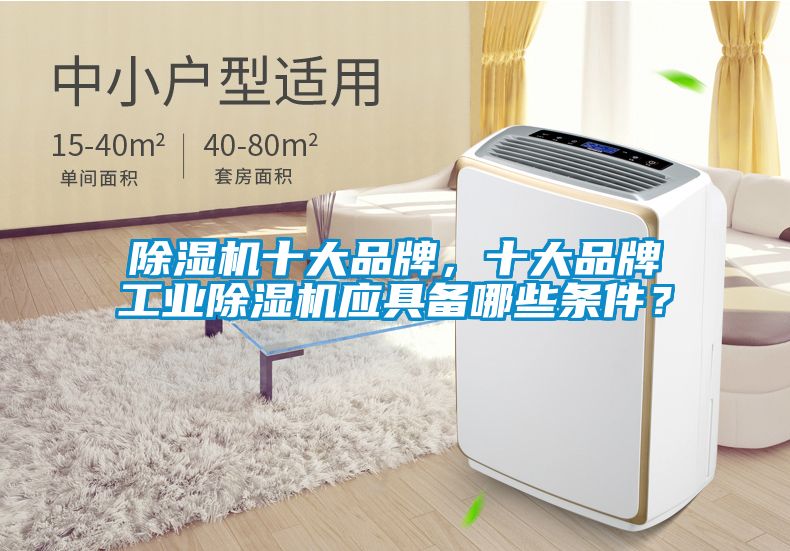 除濕機十大品牌，十大品牌工業(yè)除濕機應(yīng)具備哪些條件？