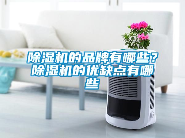 除濕機(jī)的品牌有哪些？除濕機(jī)的優(yōu)缺點(diǎn)有哪些