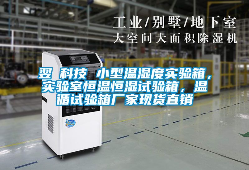 翌昇科技 小型溫濕度實(shí)驗(yàn)箱，實(shí)驗(yàn)室恒溫恒濕試驗(yàn)箱，溫循試驗(yàn)箱廠家現(xiàn)貨直銷