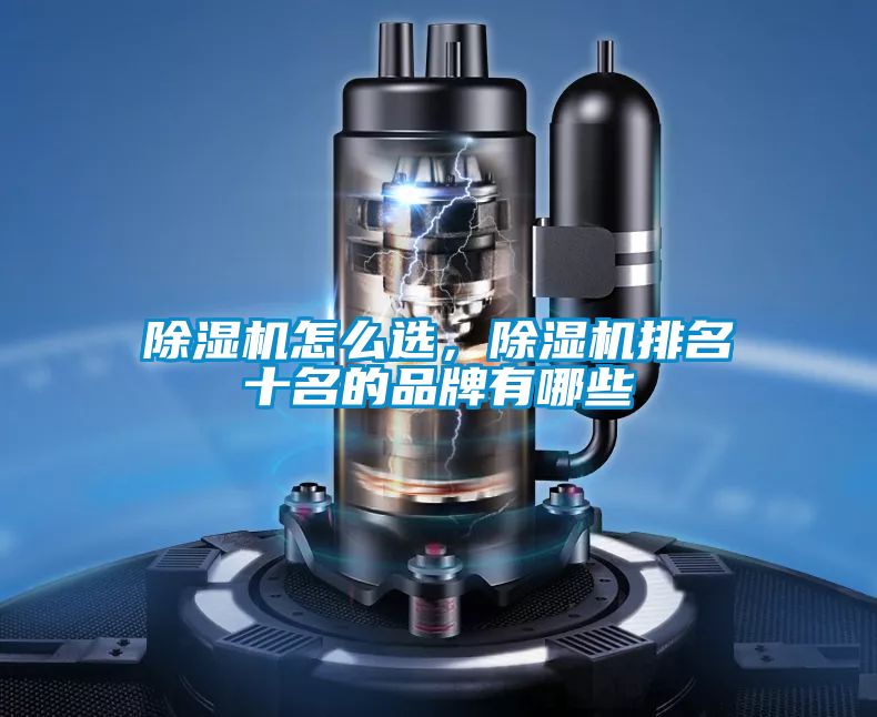 除濕機怎么選，除濕機排名十名的品牌有哪些