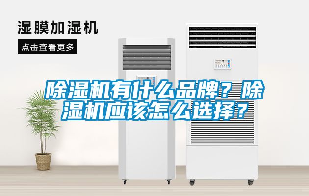 除濕機(jī)有什么品牌？除濕機(jī)應(yīng)該怎么選擇？