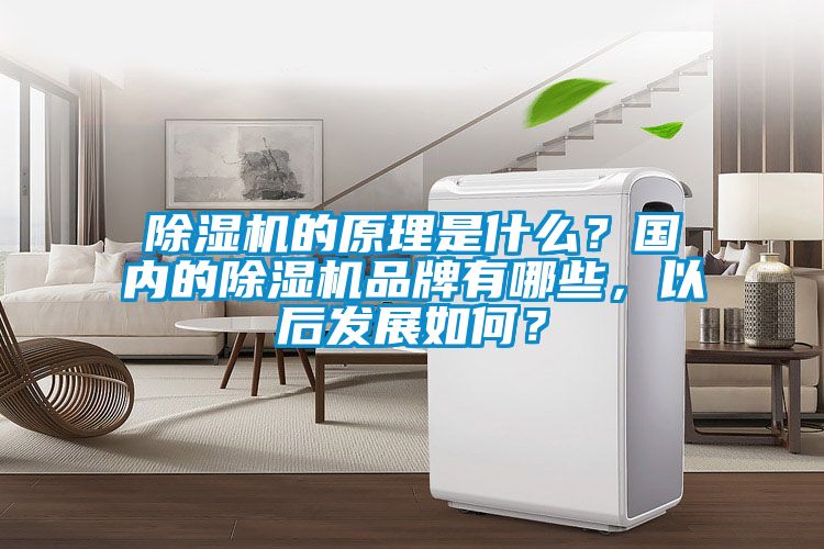 除濕機的原理是什么？國內的除濕機品牌有哪些，以后發(fā)展如何？