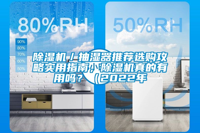 除濕機(jī)／抽濕器推薦選購攻略實用指南，除濕機(jī)真的有用嗎？（2022年