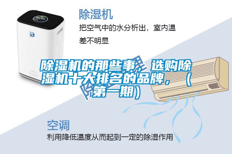 除濕機(jī)的那些事，選購(gòu)除濕機(jī)十大排名的品牌，（第一期）