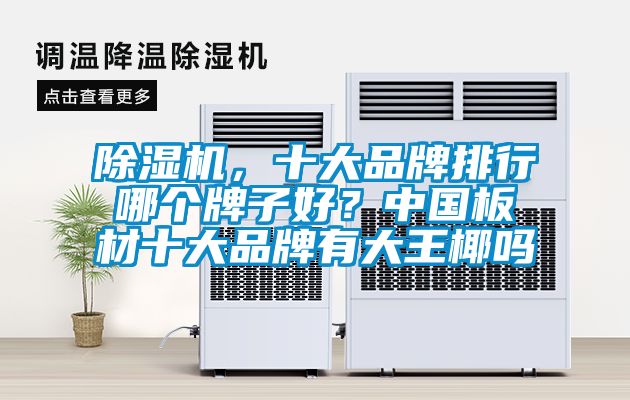 除濕機(jī)，十大品牌排行哪個牌子好？中國板材十大品牌有大王椰嗎