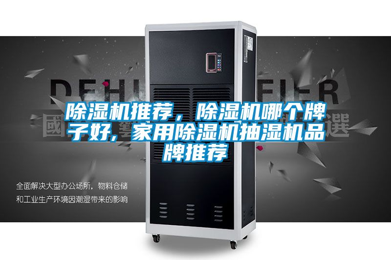 除濕機推薦，除濕機哪個牌子好, 家用除濕機抽濕機品牌推薦