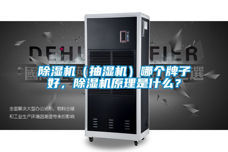 除濕機(jī)（抽濕機(jī)）哪個(gè)牌子好，除濕機(jī)原理是什么？