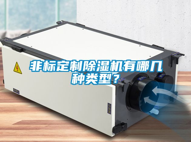 非標(biāo)定制除濕機(jī)有哪幾種類型？