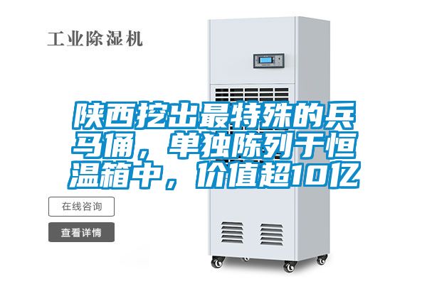 陜西挖出最特殊的兵馬俑，單獨(dú)陳列于恒溫箱中，價(jià)值超10億