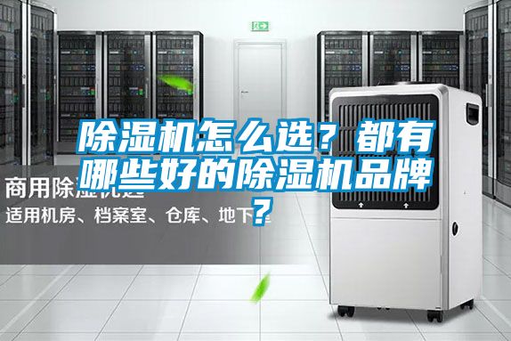 除濕機(jī)怎么選？都有哪些好的除濕機(jī)品牌？