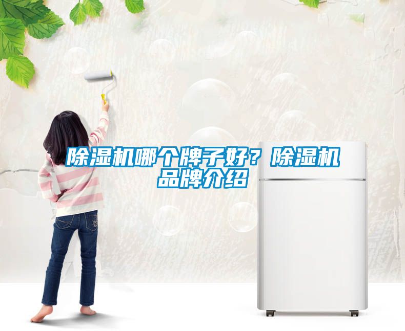 除濕機(jī)哪個(gè)牌子好？除濕機(jī)品牌介紹