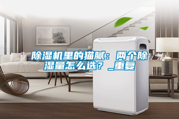 除濕機(jī)里的貓膩：兩個(gè)除濕量怎么選？_重復(fù)