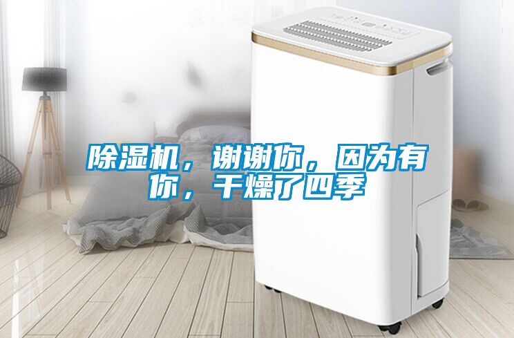 除濕機(jī)，謝謝你，因?yàn)橛心?，干燥了四?></div>
								<div   id=