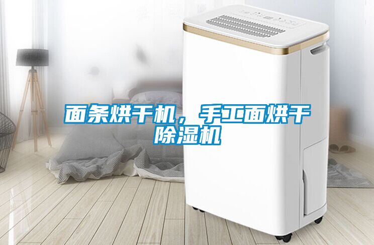 面條烘干機，手工面烘干除濕機
