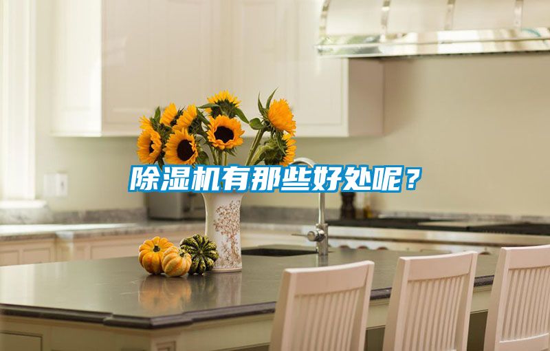 除濕機(jī)有那些好處呢？
