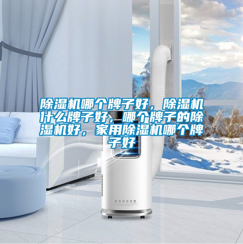 除濕機(jī)哪個(gè)牌子好，除濕機(jī)什么牌子好，哪個(gè)牌子的除濕機(jī)好，家用除濕機(jī)哪個(gè)牌子好