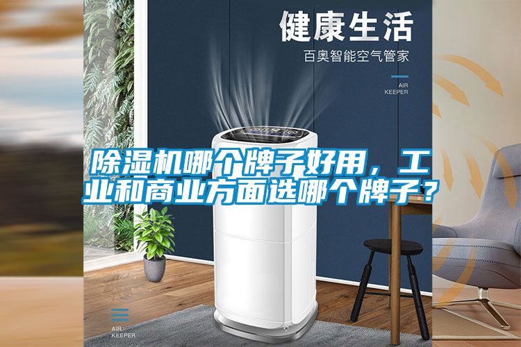 除濕機(jī)哪個(gè)牌子好用，工業(yè)和商業(yè)方面選哪個(gè)牌子？