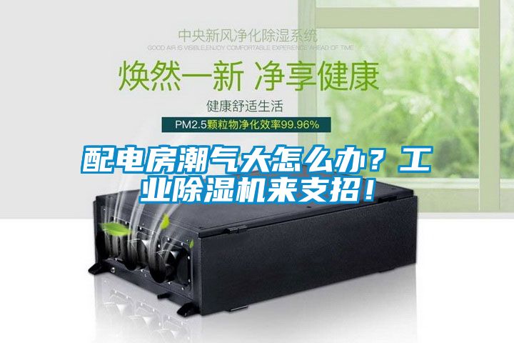 配電房潮氣大怎么辦？工業(yè)除濕機(jī)來支招！