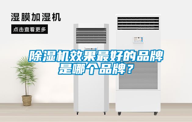 除濕機(jī)效果最好的品牌是哪個品牌？