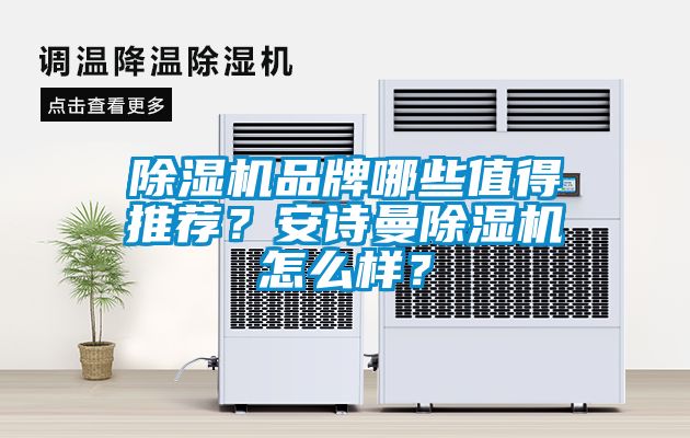 除濕機(jī)品牌哪些值得推薦？安詩(shī)曼除濕機(jī)怎么樣？